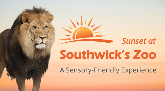Sunset icon. Sunset at Southwick's Zoo: A Sensory-Friendly Experience. Image of a lion.